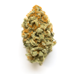 AMAZE Orange AMAZE Orange