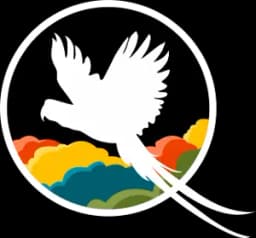 Tango Cannabis Tango Cannabis