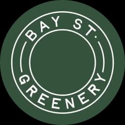 Bay Street Greenery Bay Street Greenery