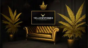 Yellowstoned Dispensaries Montana Yellowstoned Dispensaries Montana