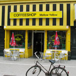 Mellow Yellow Mellow Yellow