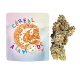 Cereal a La Mode Cereal a La Mode