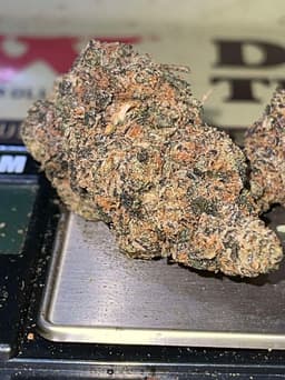 Biscotti X Girl Scout Cookies (3.5 g) Biscotti X Girl Scout Cookies (3.5 g)