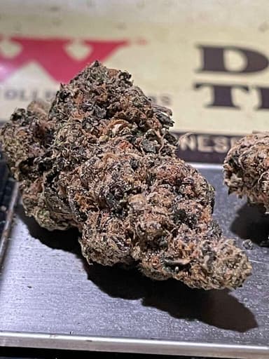 Biscotti X Girl Scout Cookies (3.5 g) Biscotti X Girl Scout Cookies (3.5 g)