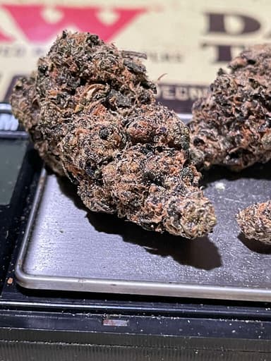 Biscotti X Girl Scout Cookies (3.5 g) Biscotti X Girl Scout Cookies (3.5 g)