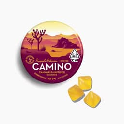 Camino Pineapple Habanero "Uplifting" Gummies Camino Pineapple Habanero "Uplifting" Gummies