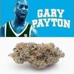 Cookies - Gary Payton Cookies - Gary Payton