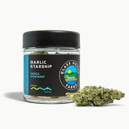 Garlic Starship Garlic Starship