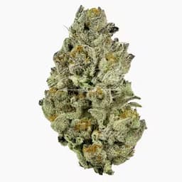 Afterglow Octane Premium | Hand-Trimmed | 3.5g Afterglow Octane Premium | Hand-Trimmed | 3.5g