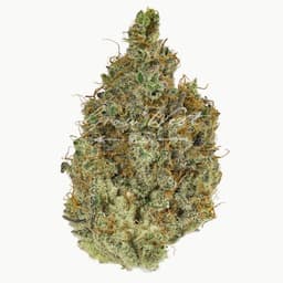Neapolitan Space Cream Premium | Hand-Trimmed | 3.5g Neapolitan Space Cream Premium | Hand-Trimmed | 3.5g