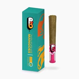 Wilson We Need More Mangoes Infused Joint | 1g Wilson We Need More Mangoes Infused Joint | 1g