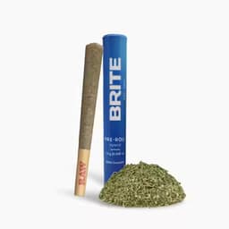BRITE Pre-Roll (1g) - H - GovernMint Oasis BRITE Pre-Roll (1g) - H - GovernMint Oasis