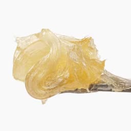 Garlic Cocktail Live Rosin Fresh Press Garlic Cocktail Live Rosin Fresh Press