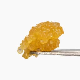 Cheetah Piss Live Resin Sugar Cheetah Piss Live Resin Sugar