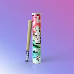 Traditional - Boba Pre-Roll 1G Traditional - Boba Pre-Roll 1G