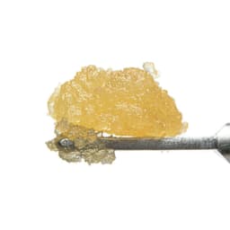 Chemdog - Live Resin Sugar (H) (1g) Chemdog - Live Resin Sugar (H) (1g)