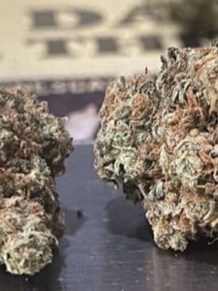 Sour Jack 3.5g Sativa Sour Jack 3.5g Sativa