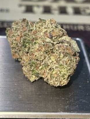 SOUR TANGIE 28g OZ SATIVA on SALE SOUR TANGIE 28g OZ SATIVA on SALE