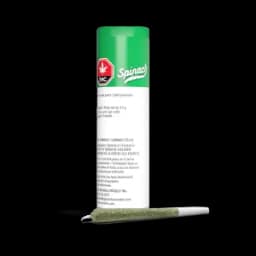 Spinach - Kiwi Lime Punch 10x.35g Spinach - Kiwi Lime Punch 10x.35g