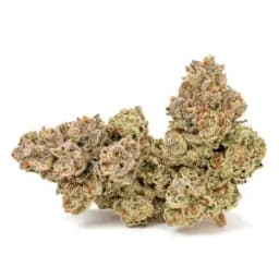 AU | KAI Cannabis | Solar Flare AU | KAI Cannabis | Solar Flare