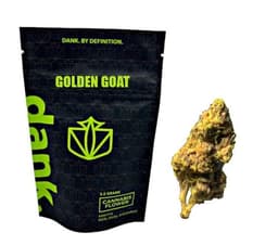 Golden Goat (S) - HI Golden Goat (S) - HI