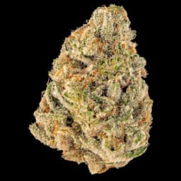 B1 (3.5 grams) B1 (3.5 grams)