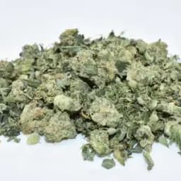Curaleaf Ground Flower 3.5g Teal (H) 00001 Curaleaf Ground Flower 3.5g Teal (H) 00001