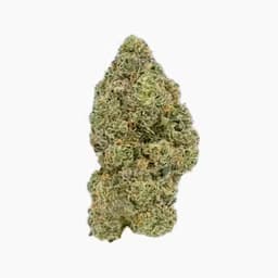 Vireo | Ice Cream Cake High THC Small Bud Vireo | Ice Cream Cake High THC Small Bud