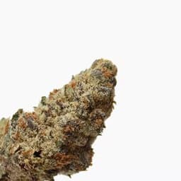 Green Dragon (CO) Gold LA Kush Cake Green Dragon (CO) Gold LA Kush Cake