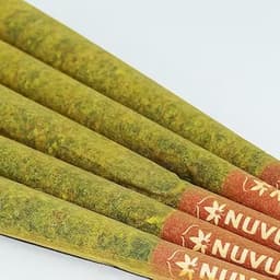 In House Infused Preroll: - Blueberry Cough x Sumo Grande 1.5g In House Infused Preroll: - Blueberry Cough x Sumo Grande 1.5g