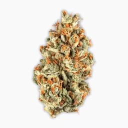Vireo | PAVE High THC Small Bud Flower Vireo | PAVE High THC Small Bud Flower