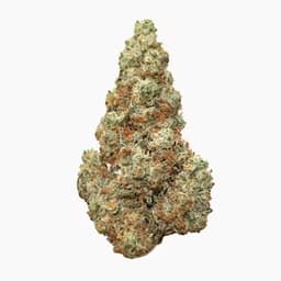 Green Dragon (CO) Gold Fruity Pebbles Green Dragon (CO) Gold Fruity Pebbles