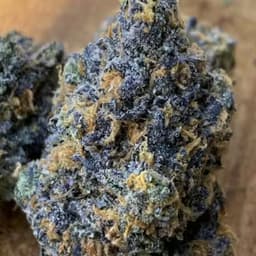 Wave Rider - Wave Rider - RS11 14g - 1 gram Wave Rider - Wave Rider - RS11 14g - 1 gram