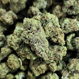 Blue Dream - Pure Medical Blue Dream - Pure Medical