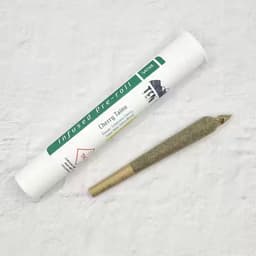 Ten Six Infused Preroll - Cherry Taino Ten Six Infused Preroll - Cherry Taino