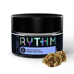 Night Owl Haze RYTHM Night Owl Haze RYTHM