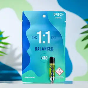 Balanced - CBD Balanced - CBD