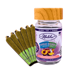 Boogie Boards | Peaches & Cream | 6pk Infused Prerolls 4.2g Boogie Boards | Peaches & Cream | 6pk Infused Prerolls 4.2g