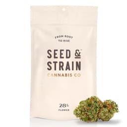 Baklava Seed and Strain Baklava Seed and Strain