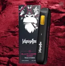 Black Cherry Kush Disposable Cart 1g Black Cherry Kush Disposable Cart 1g