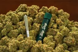 Afternoon Delight #4 STAY Big Dog Pre-Roll | 0.75g Afternoon Delight #4 STAY Big Dog Pre-Roll | 0.75g
