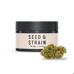 Red Bullz VI Seed and Strain Red Bullz VI Seed and Strain