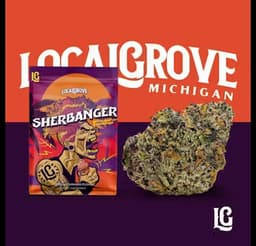 Local Grove Prepackaged Flower | Sherbanger | 3.5G Local Grove Prepackaged Flower | Sherbanger | 3.5G