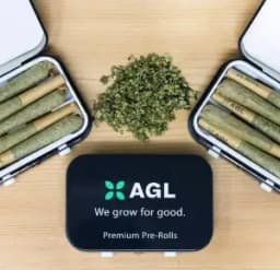 AGL | Garlic Drip 5pk Minis | I | 00132 |2g AGL | Garlic Drip 5pk Minis | I | 00132 |2g