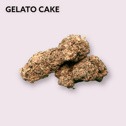 GELATO CAKE GELATO CAKE