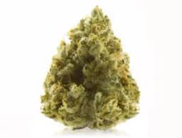 Fritter | Cheef Fritter | Cheef