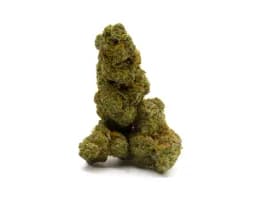 Baby Yoda - 14g - Apex Regional Farms - 27.02% Baby Yoda - 14g - Apex Regional Farms - 27.02%