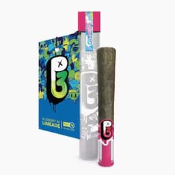 Blueberry AK Limeade Infused Joint | 1g Blueberry AK Limeade Infused Joint | 1g