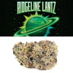 COOKIES - RIDGELINE LANTZ - INDOOR COOKIES - RIDGELINE LANTZ - INDOOR