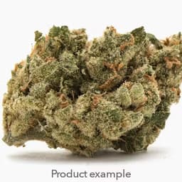 Cereal Milk - Amigos Cannabis Cereal Milk - Amigos Cannabis